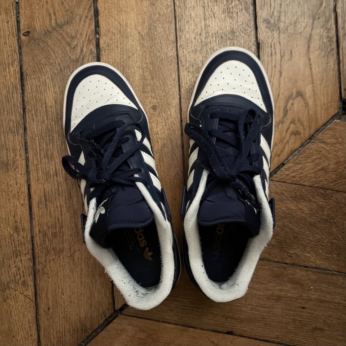 Blue Nights tweet media