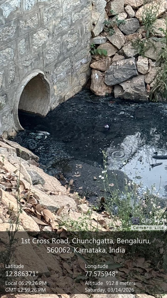 Raghavendra B Pachhapur tweet media