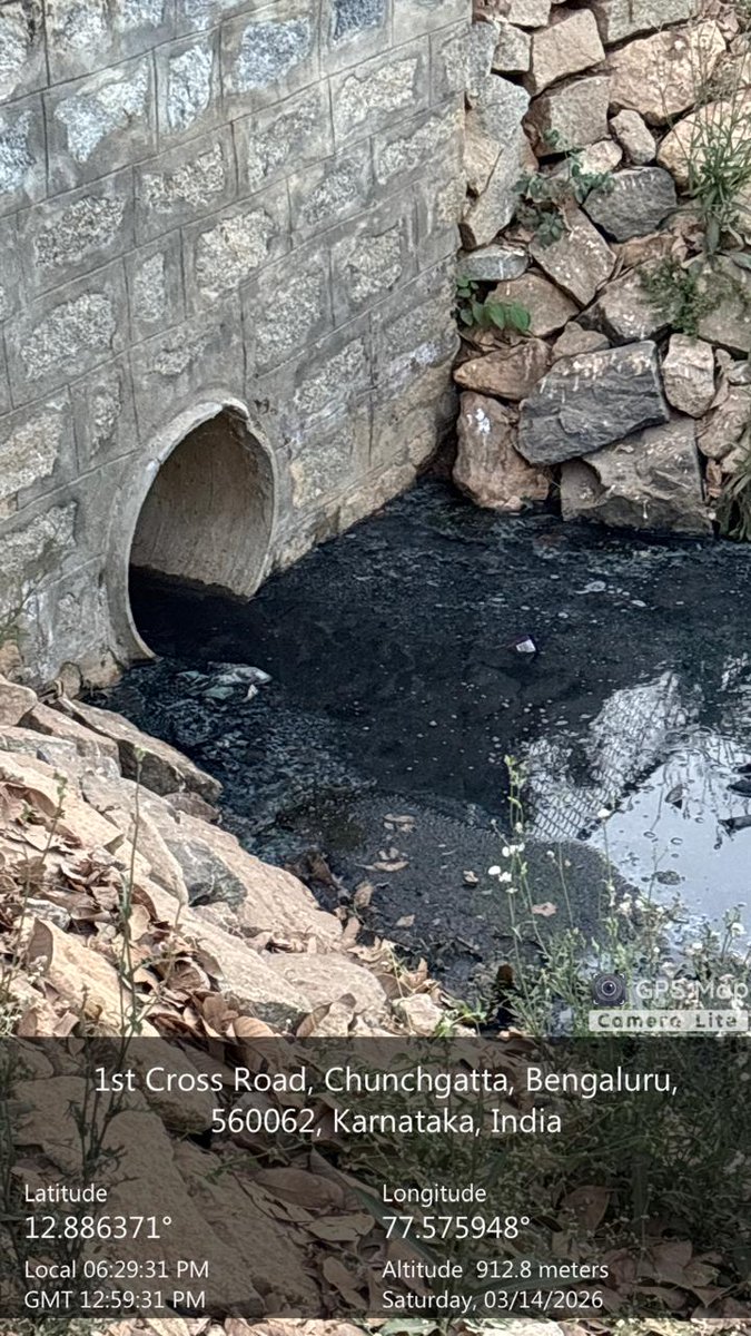 Raghavendra B Pachhapur tweet media