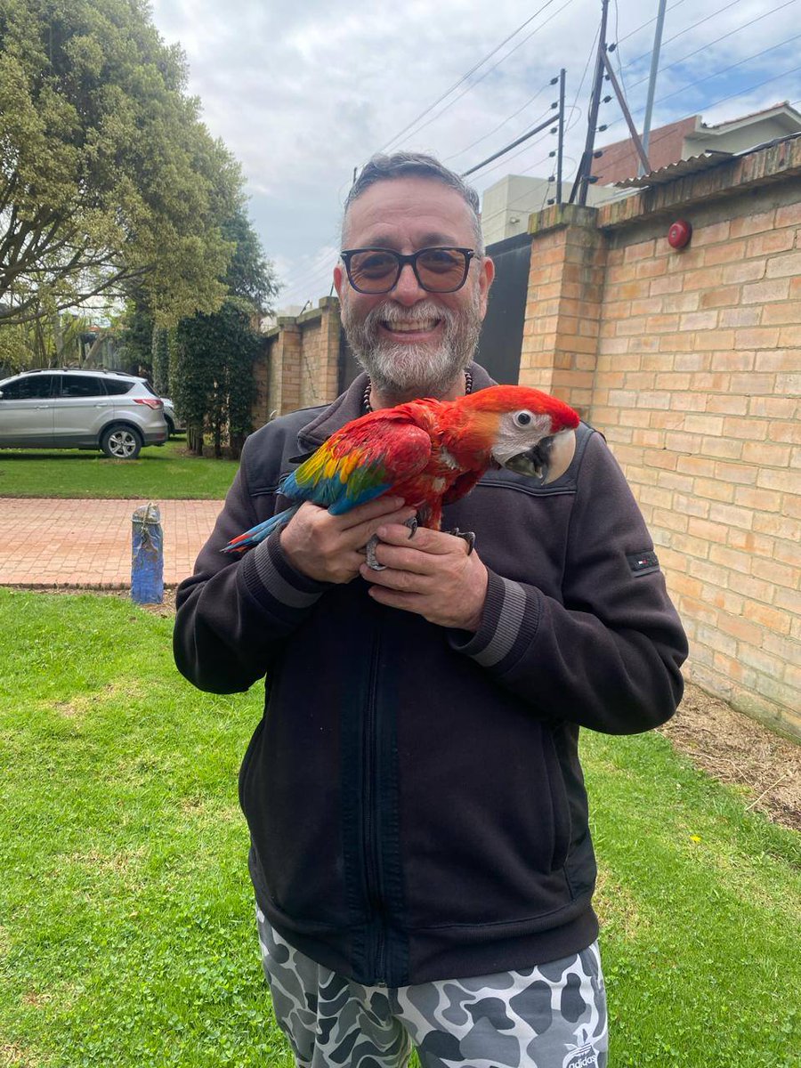 Jorge Cañas tweet media