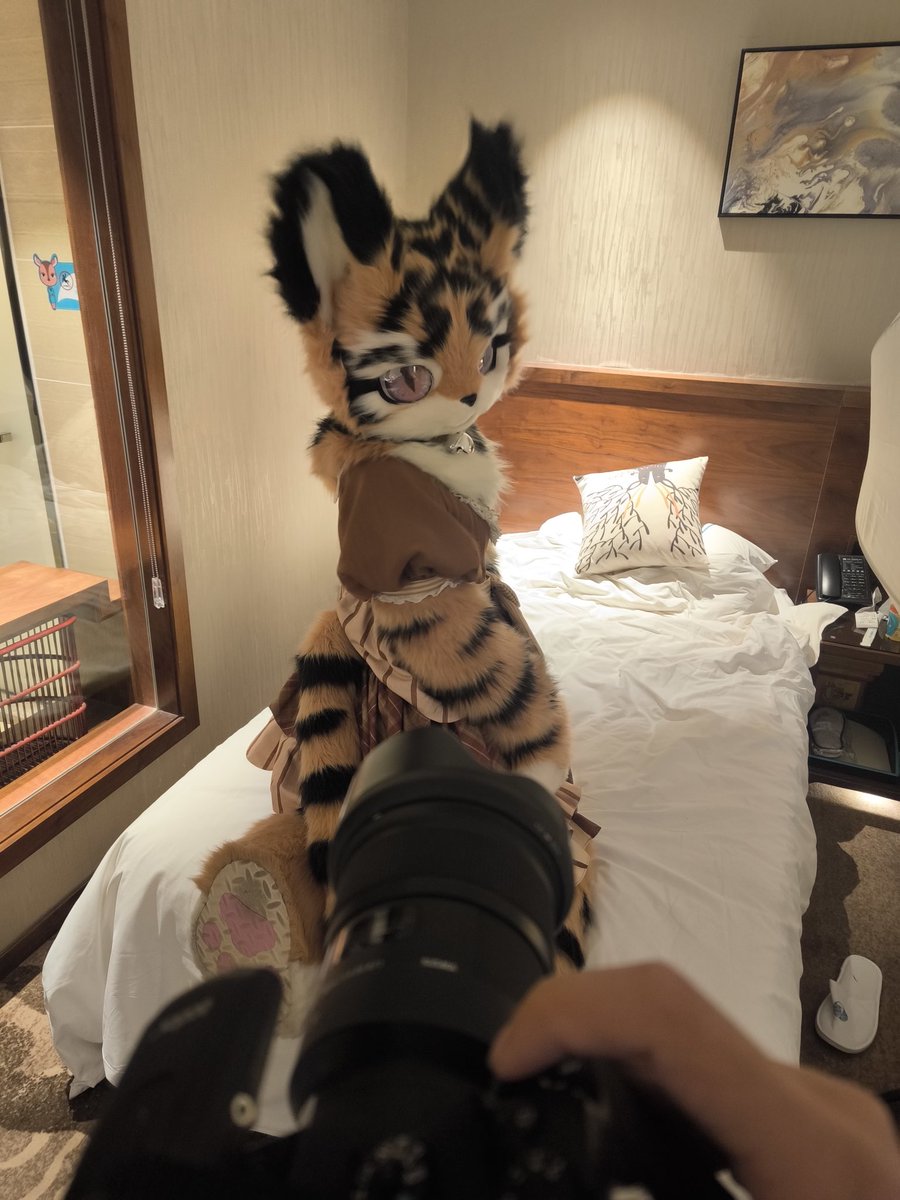 是森不是sen tweet media