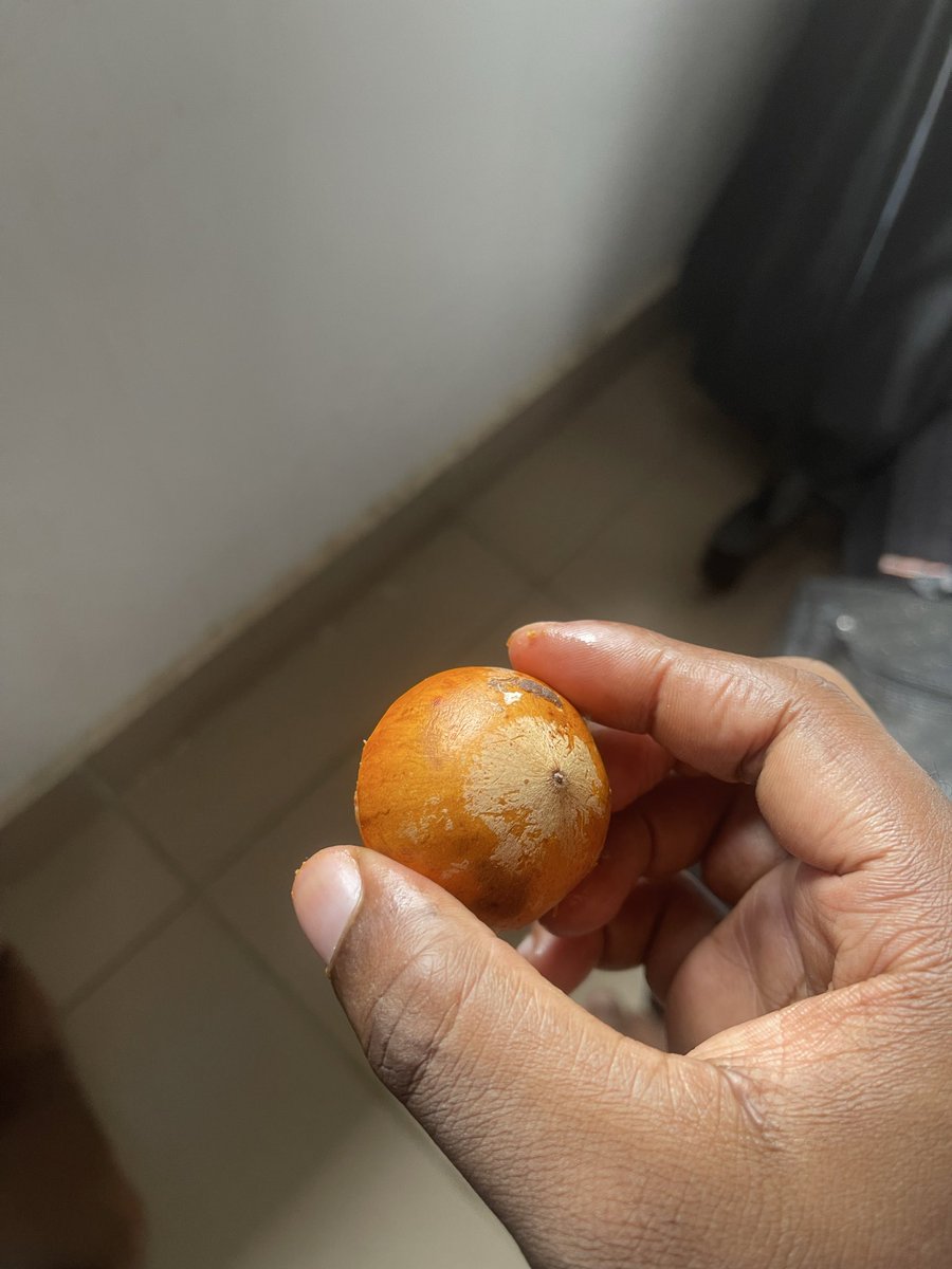 How old were you when you found out the reason it’s called African star seed apples?
