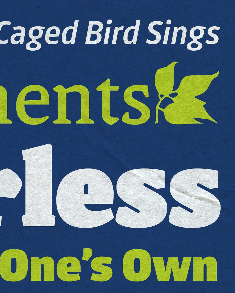 Veronika, José tweet media