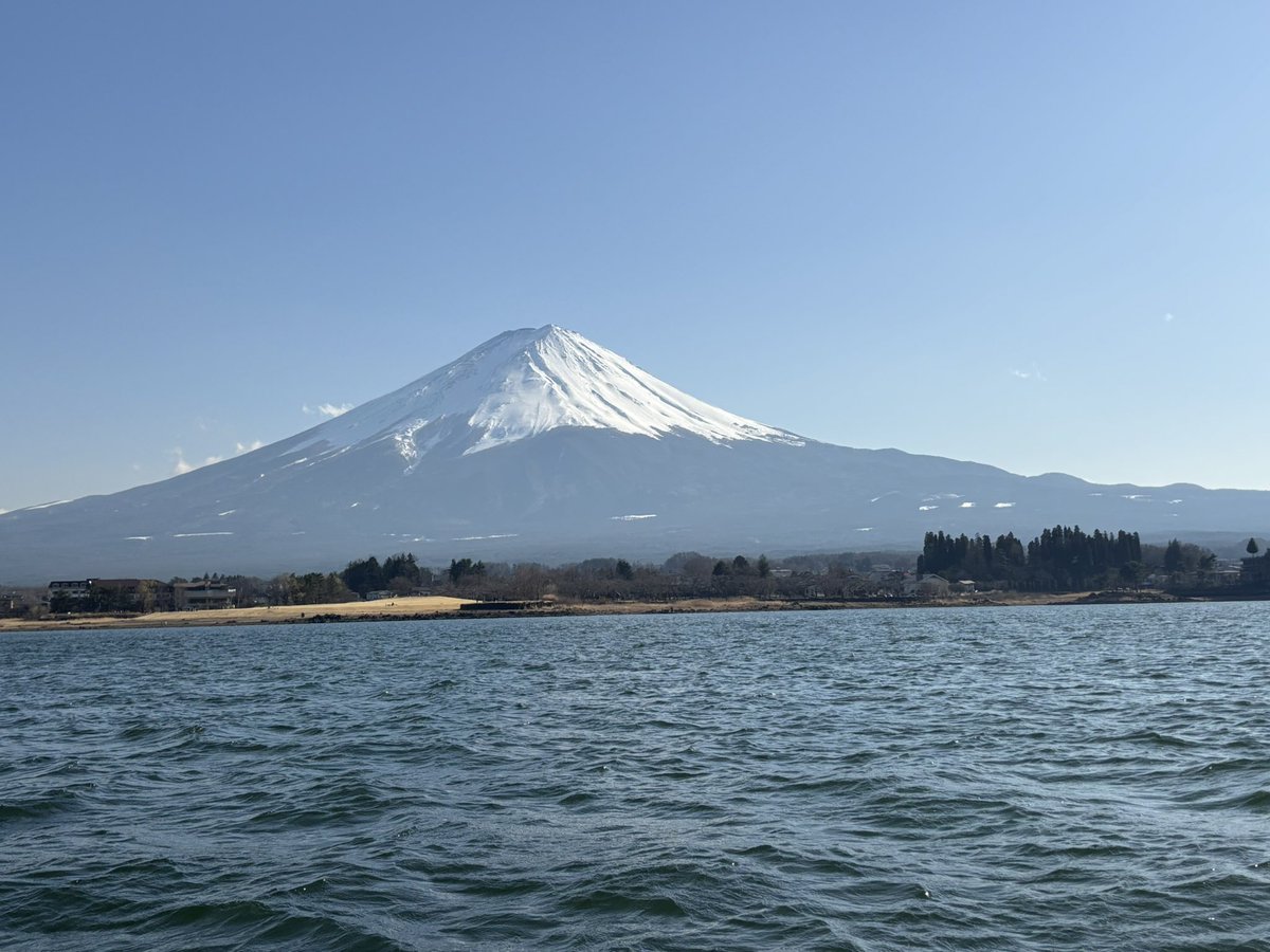 Mg Lightsの踊る女帝 ヨコナ tweet media