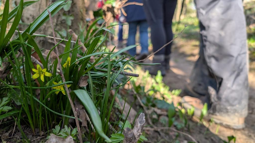 James Common tweet media