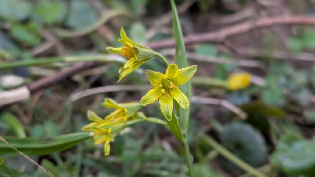 James Common tweet media