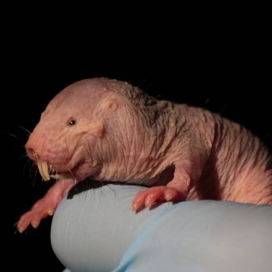 Yaşamdan Yana Derneği tweet media