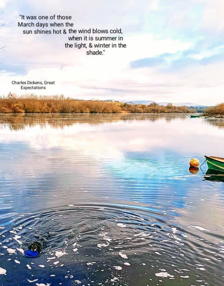 Amanda's Counselling tweet media