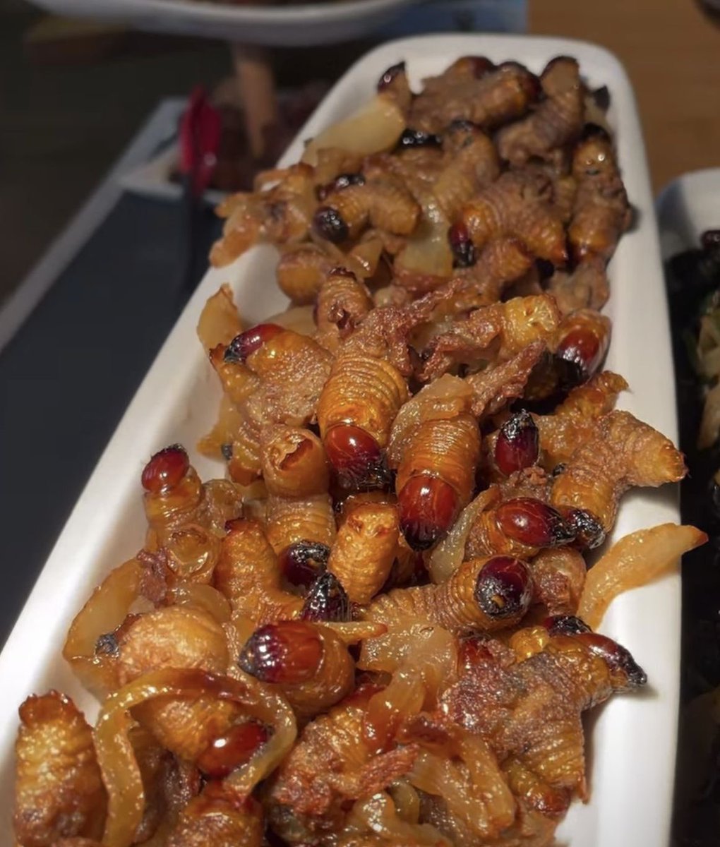 BigTeeDee77's tweet photo. これはナイジェリアで食べられている特別な食べ物の一つです。  
「パームワーム（ヤシの幼虫）」と呼ばれることが多く、腐った木や地面の中で育ちます。

ナイジェリアではこれを料理して、スパイシーなソースと一緒に食べることがあります。とても美味しくて、タンパク質が豊富な栄養のある食べ物です😋

日本ではこのような昆虫を食べる文化はありますか？