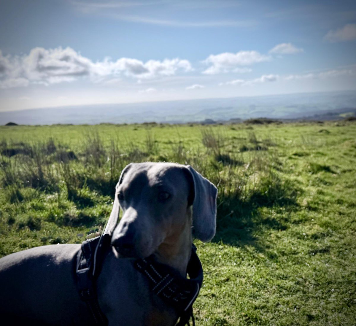 Dr Kate Strasdin tweet media