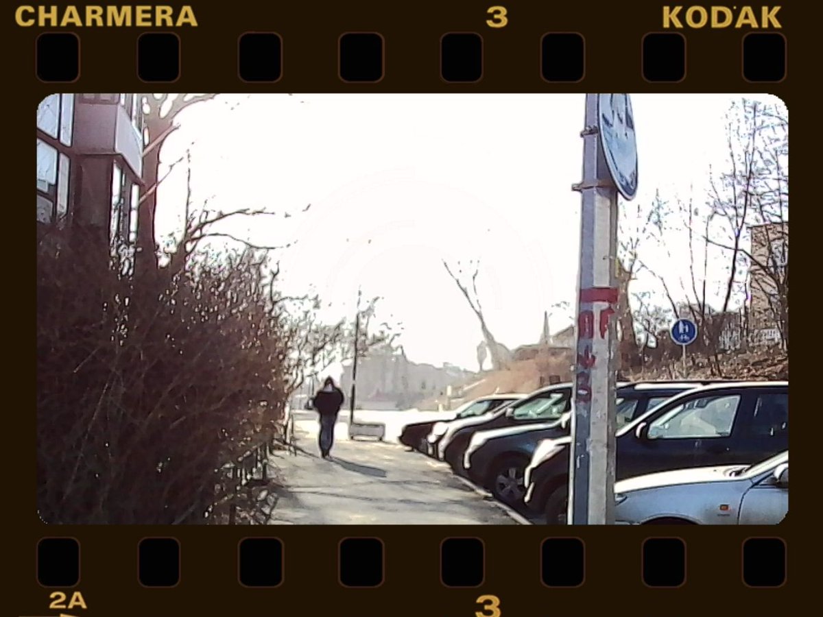 цицюньки Соні Плакидюк tweet media