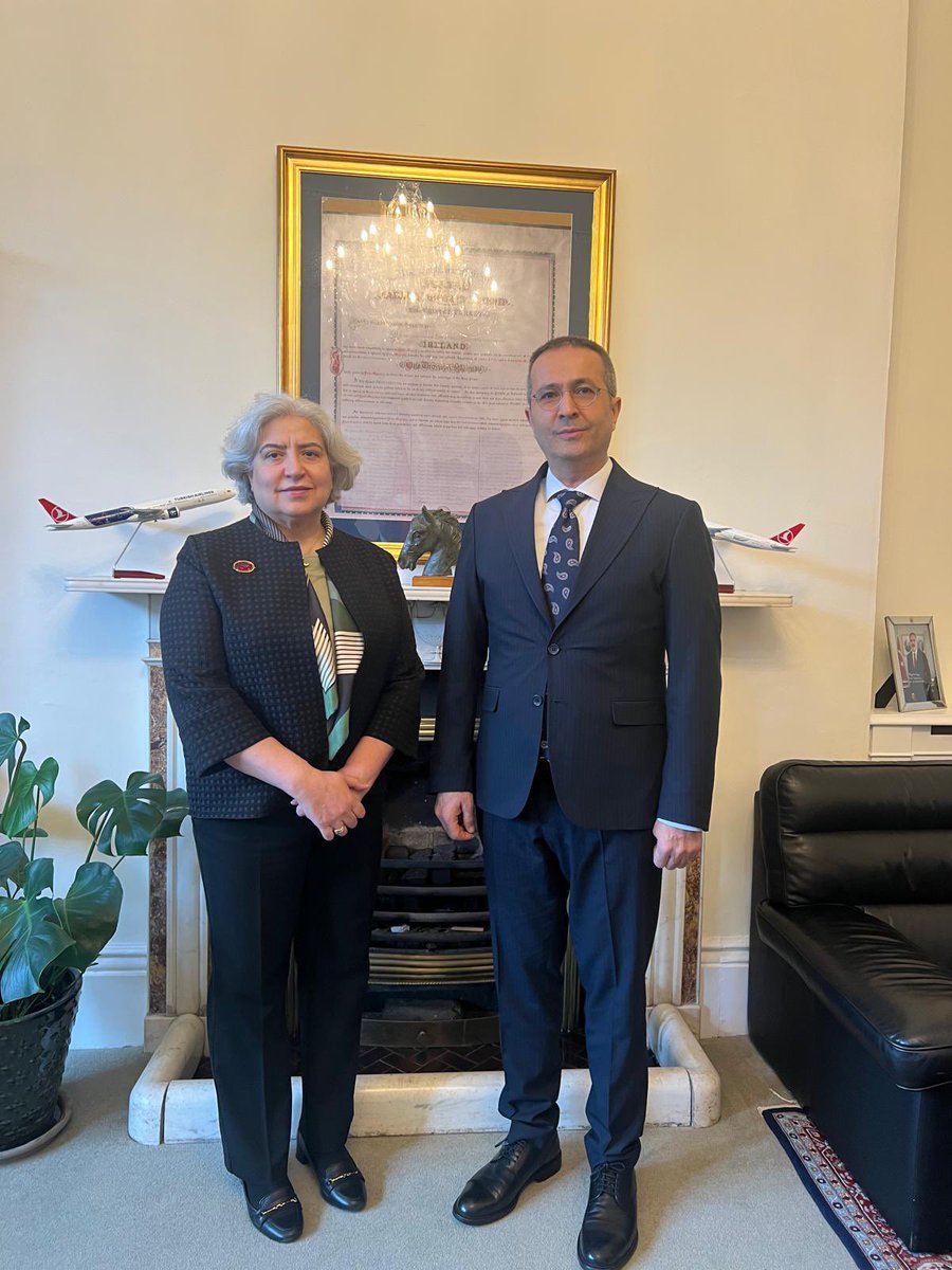 Yunus Emre Enstitüsü tweet media