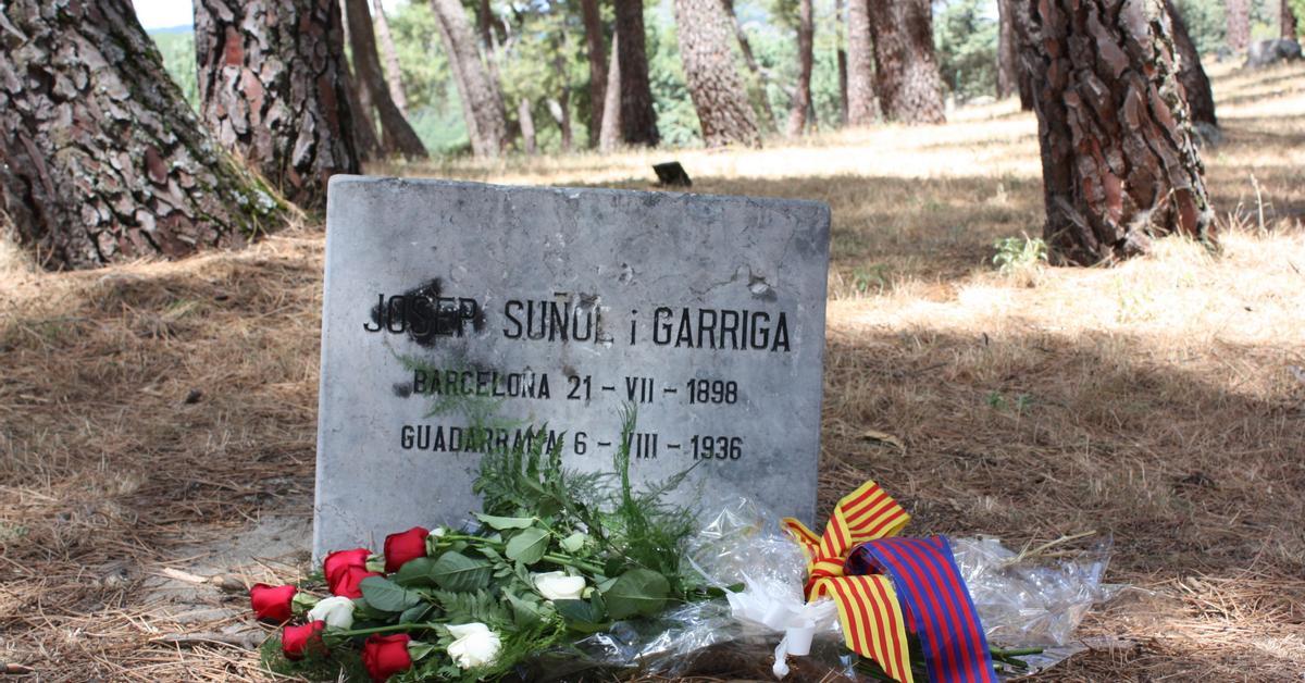 Francesc Avinyó 🚙🚗 tweet media