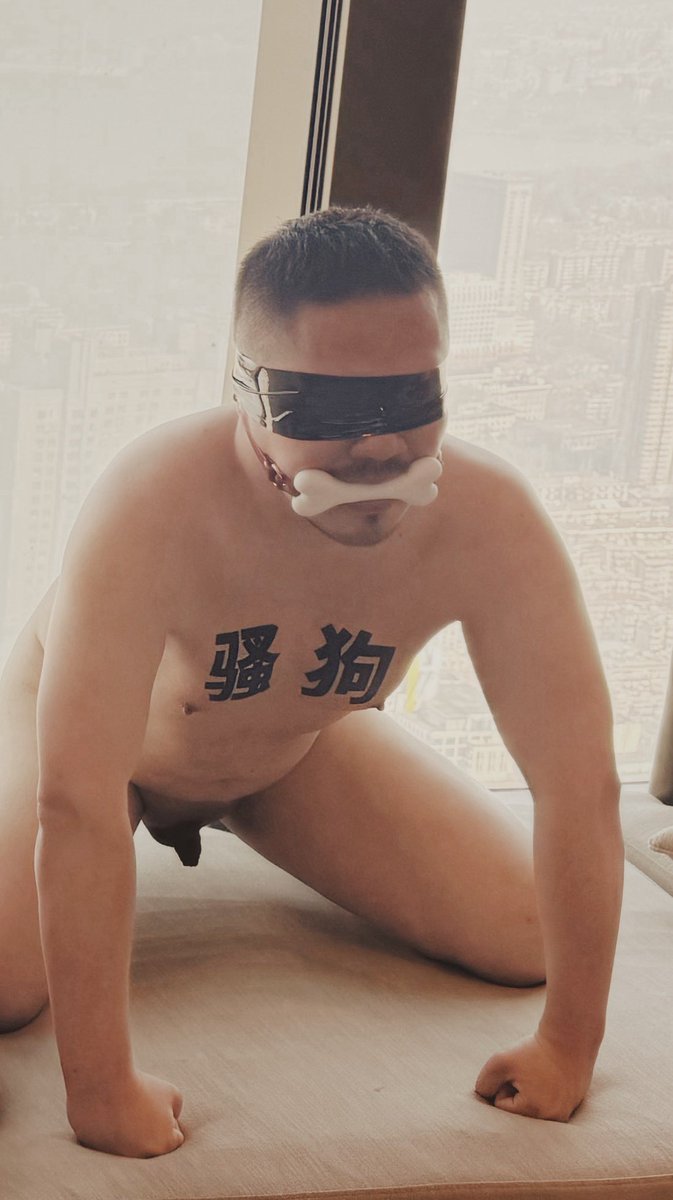 四寶肉丸 tweet media