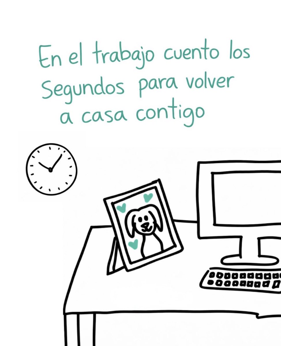 Lomitos Suavecitos (@suaveslomitos) on Twitter photo 