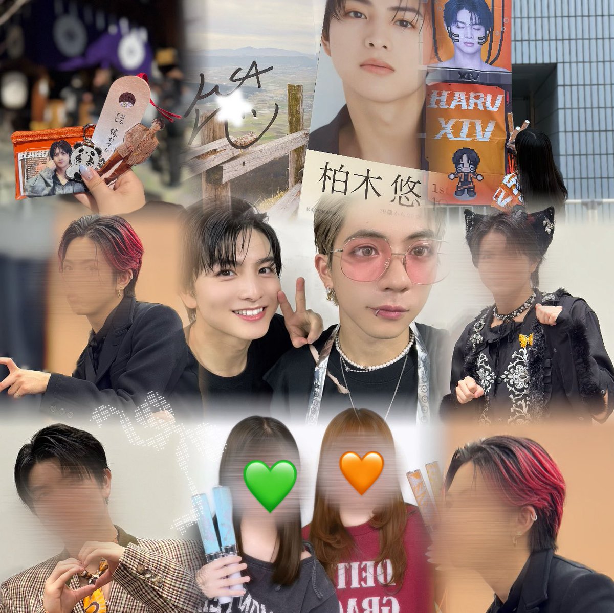 りーおﾁｬﾝ tweet media