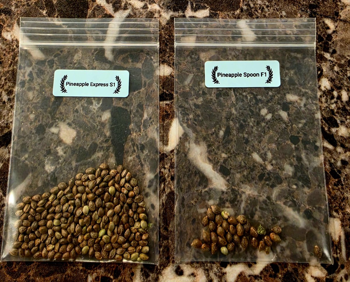 Medical Grower 420 🇺🇸 tweet media