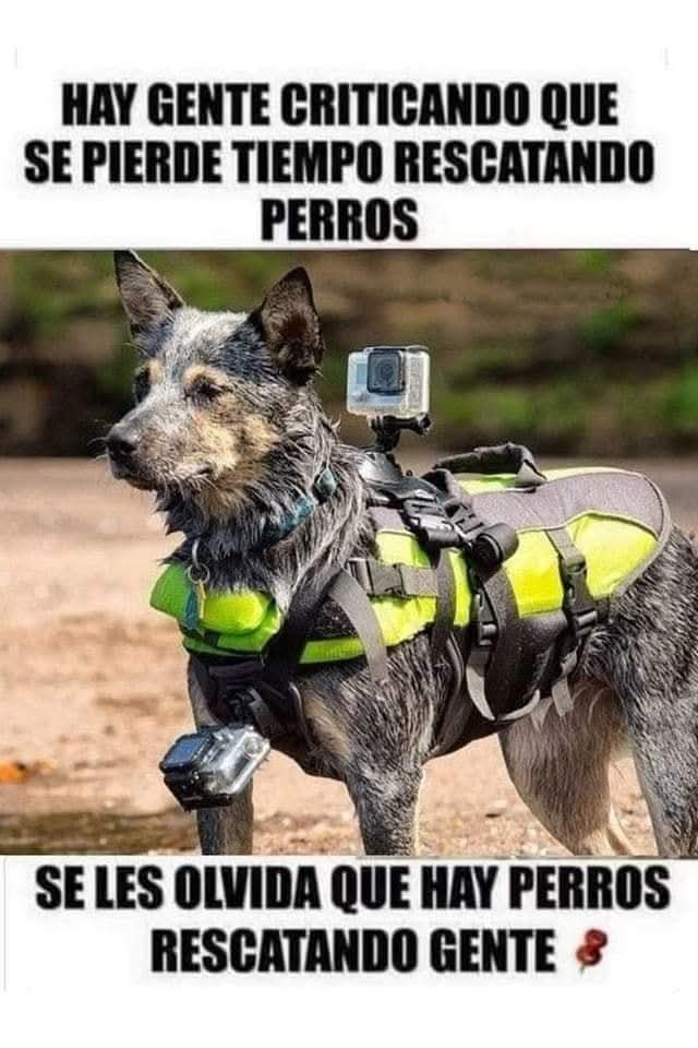 Guadalupe Ramirez tweet media