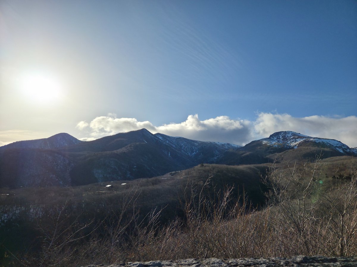 みちすけ tweet media