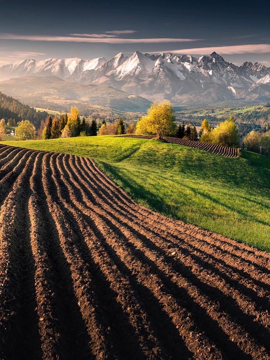 David Huang tweet media