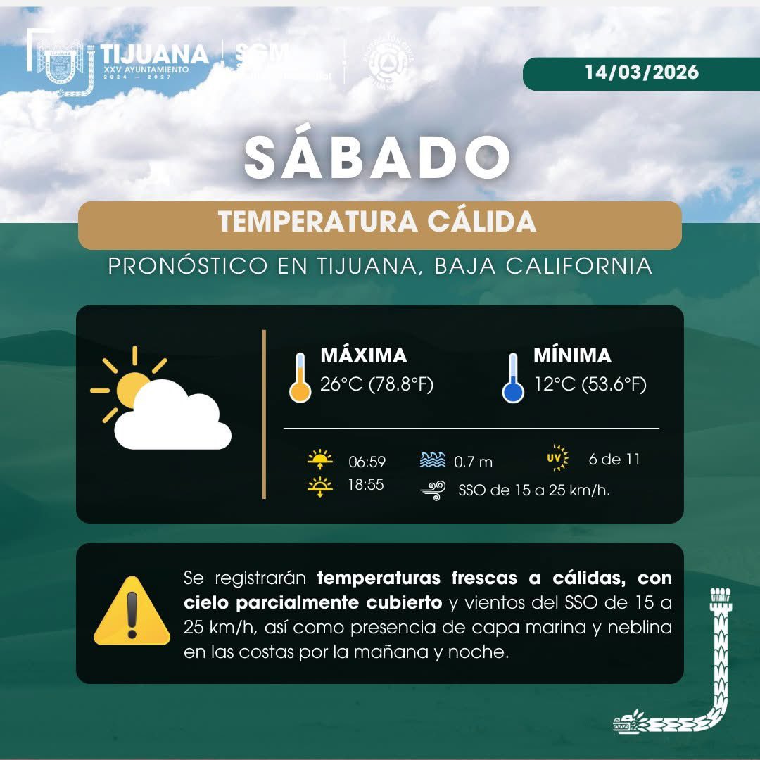 Tijuana Local tweet media