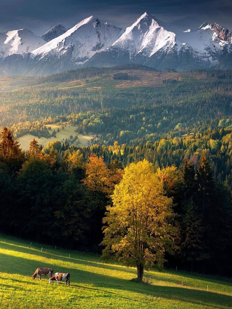 David Huang tweet media