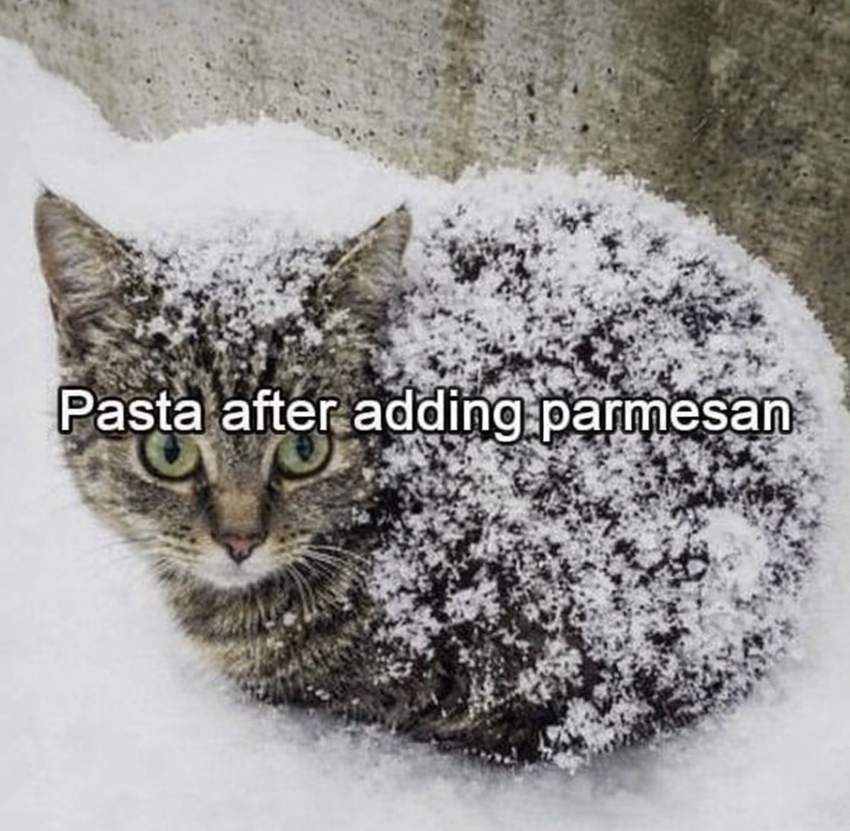 i like food (@messedupfoods) on Twitter photo 