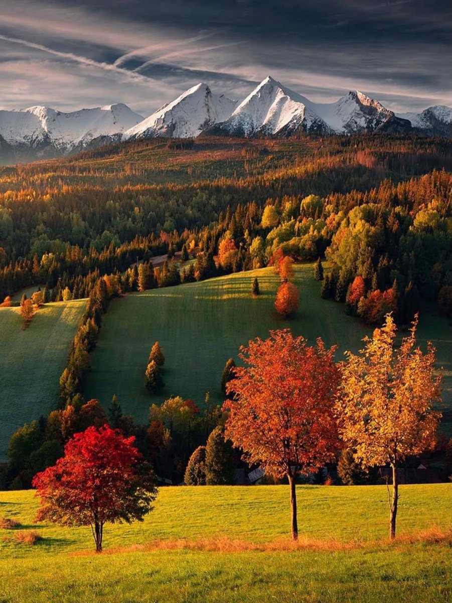 David Huang tweet media