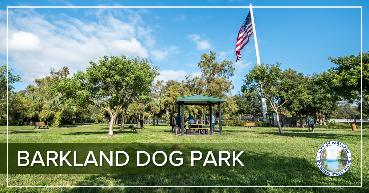 CityParklandFL tweet media