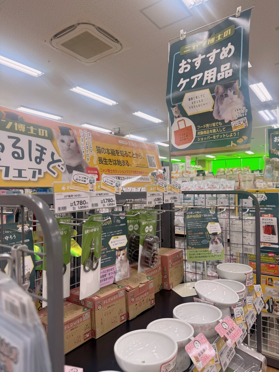 nyaoya__x's tweet photo. にゃんも、にゃるほどフェアいってまいりまちた!対象のフードと爪研ぎをゲットしてカードもカバンもいただきまちたよー!!
直哉カードを引いた皆様、ぜひこっそり教えてください🐈
#PETEMO #ペテモ #にゃん博士のにゃるほどフェア https://t.co/wEf4onTWqj