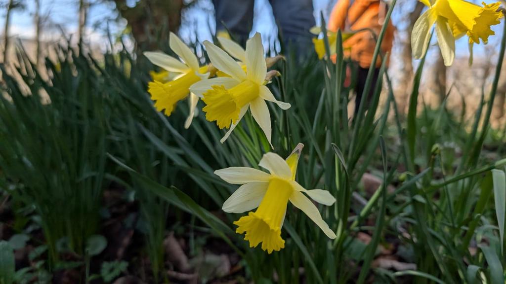 James Common tweet media