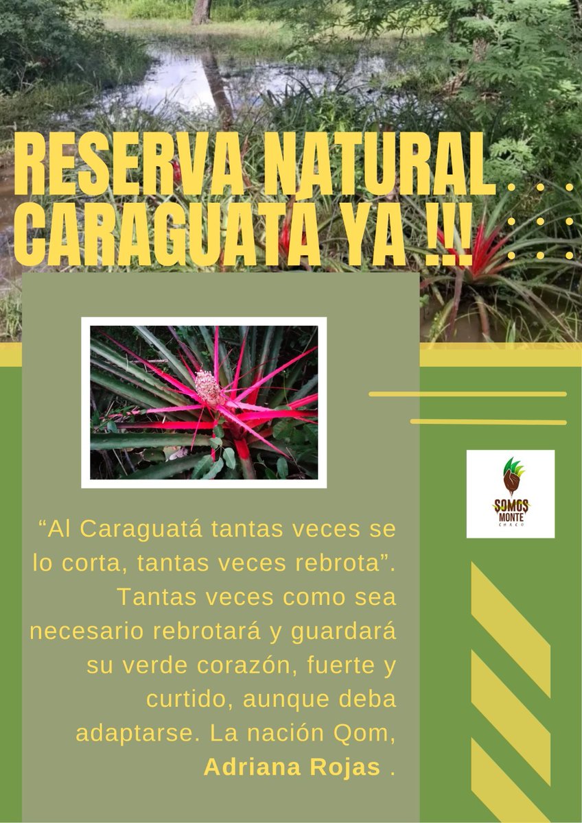 Somos MONTE Chaco tweet media