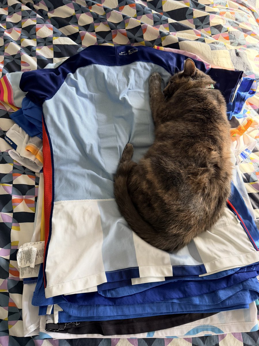 Ed Żelaski tweet media