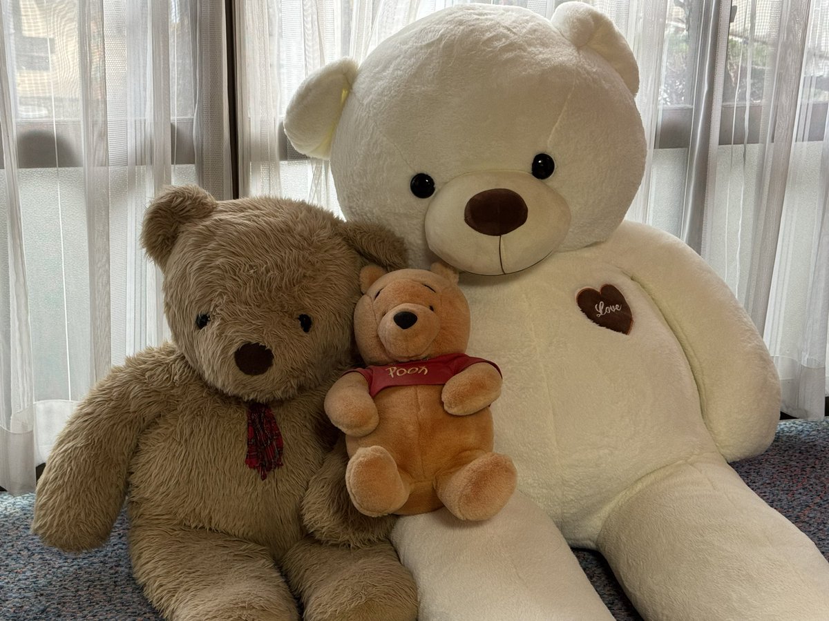 makejidamash7's tweet photo. 天ちゃん！太陽！プー太！
3人揃って
キャラフルBearsです！！
大切な，大切な，
僕のファミリーです！
kazu！ https://t.co/IbaRIjJJ9b