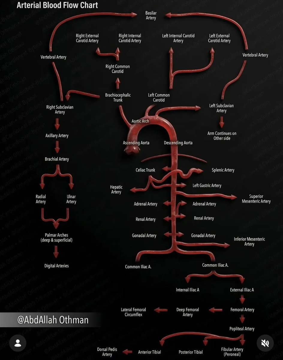 Oren Gottfried, MD tweet media