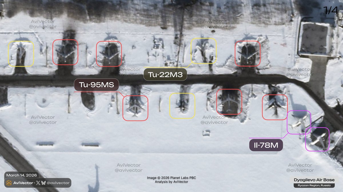 AviVector tweet media