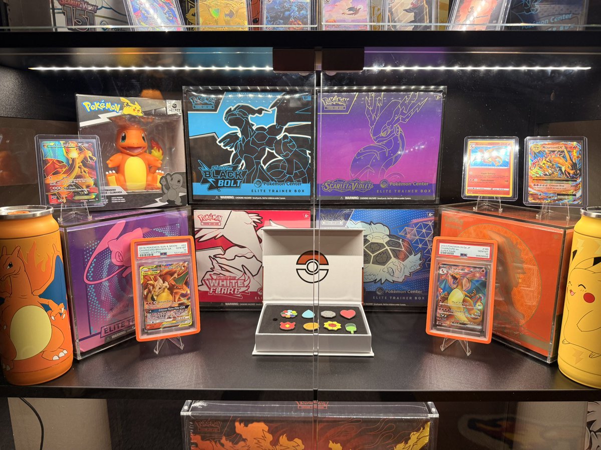 🐄 Beau Collie 🌽 🔜 AC, MP tweet media