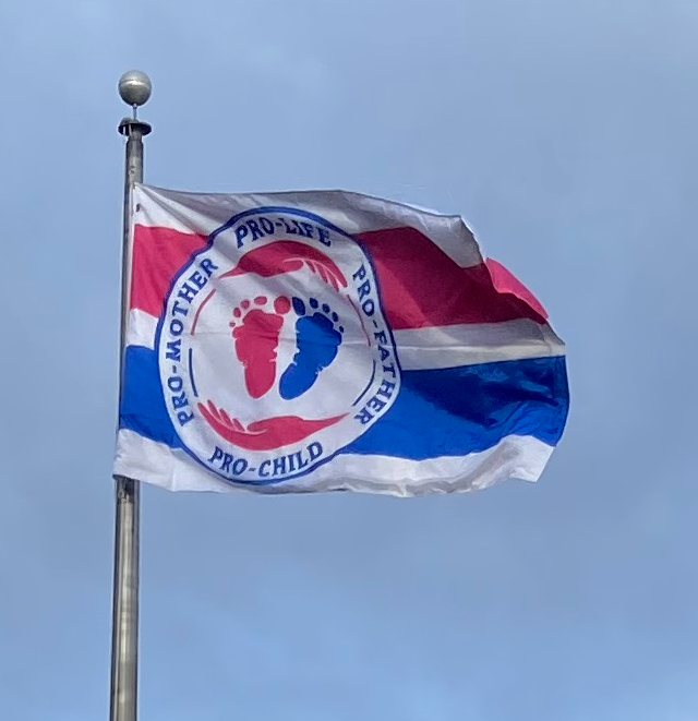 Pro-Life Flag Project tweet media