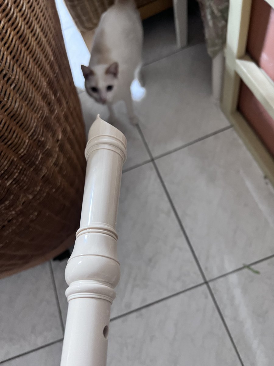 便當好好吃 tweet media