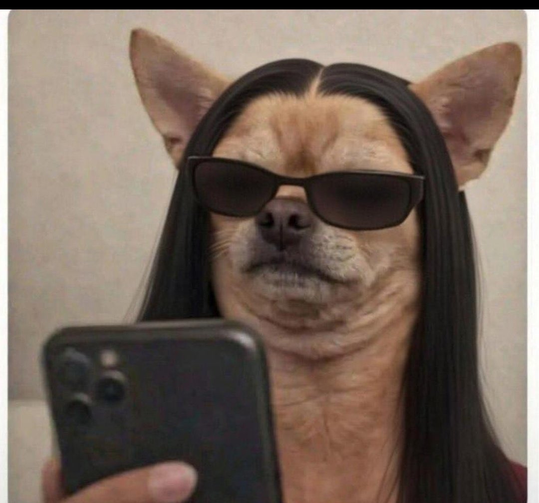 ChrisExcel tweet media