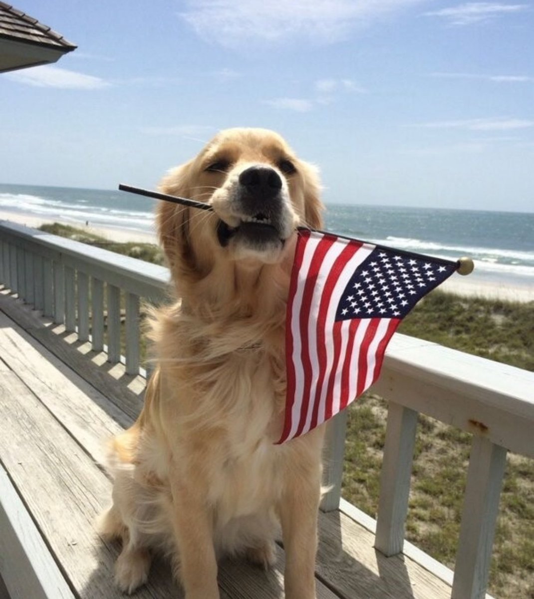 Have a great Saturday Patriots 🇺🇸🇺🇸🇺🇸