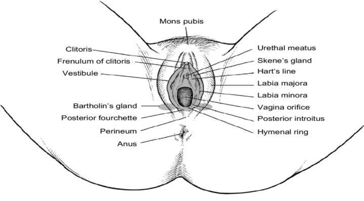 𝑵𝒂𝒔𝒕𝒂𝒓 tweet media