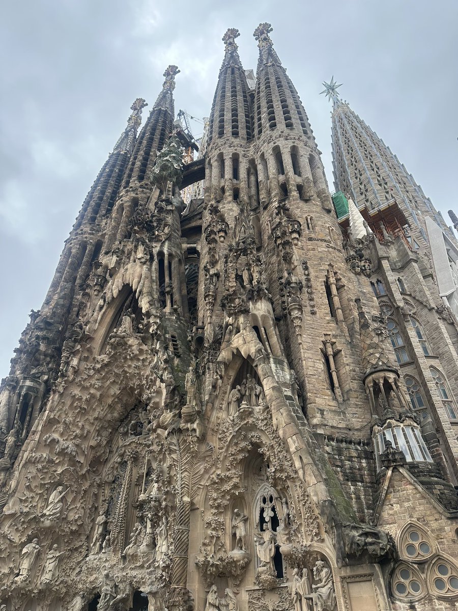 そめやももこ/もちょ tweet media