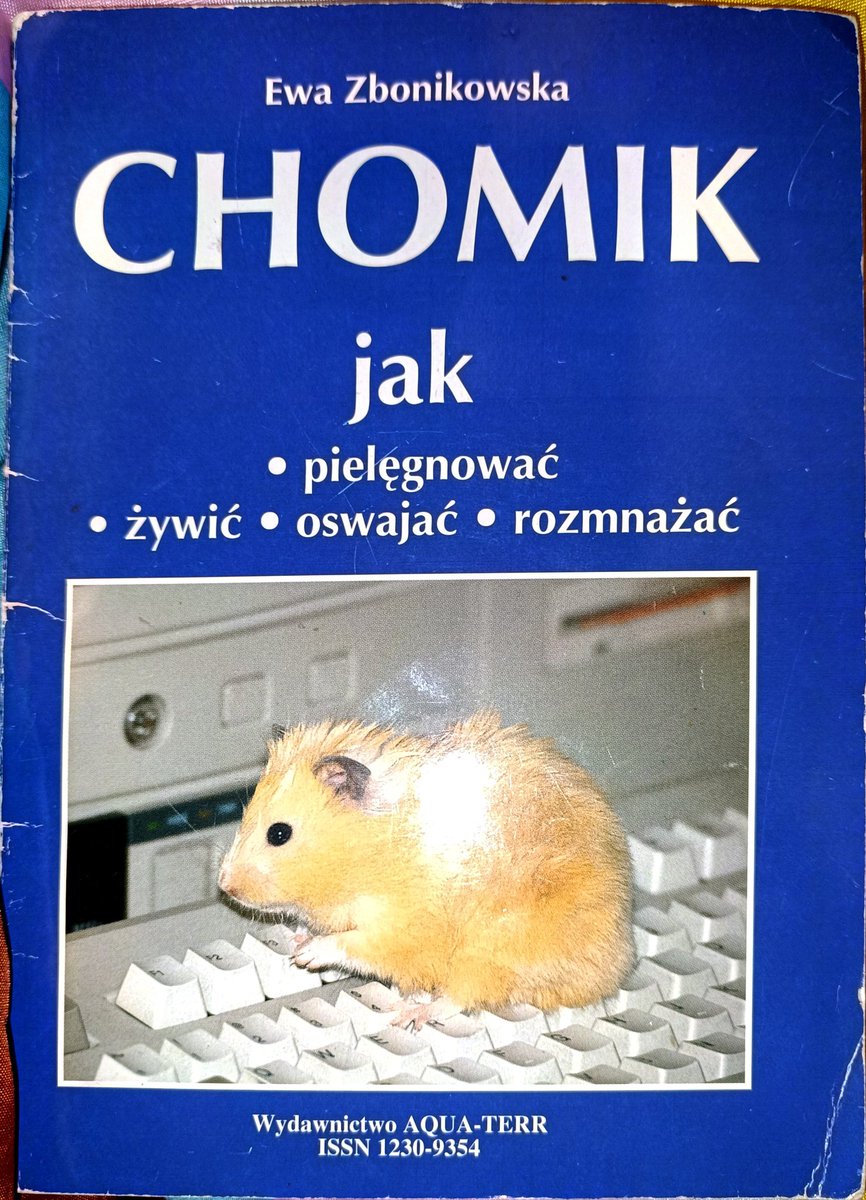 ⭐ | wera ⚢ | ❤️🧡🤍🩷💜 tweet media