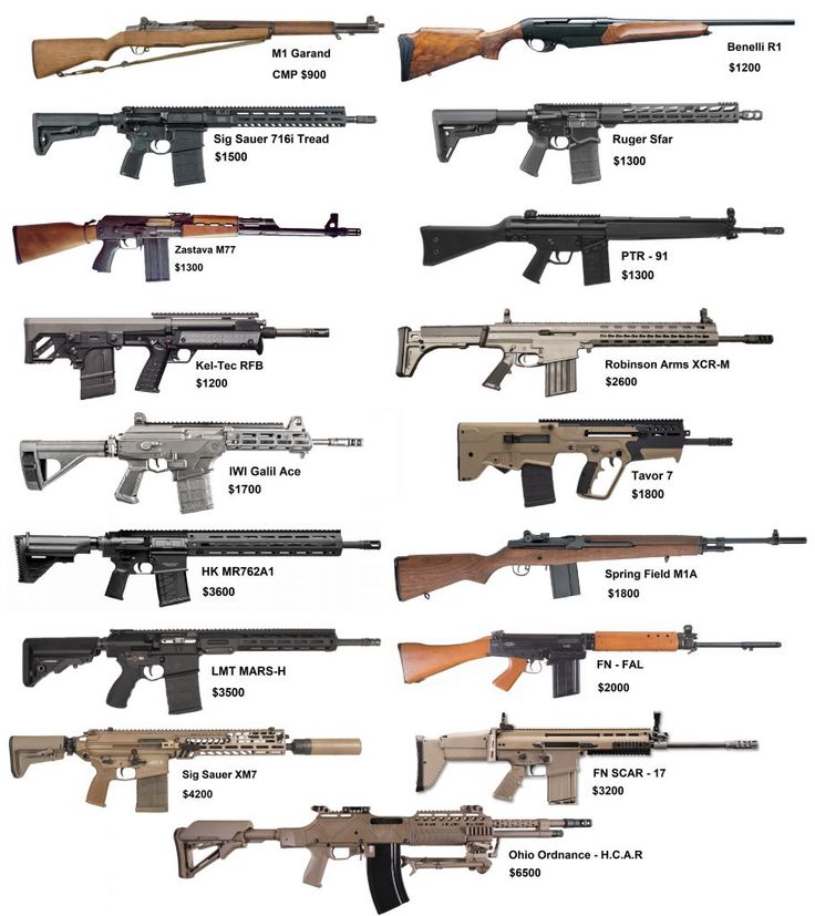 Gun Fanatics tweet media