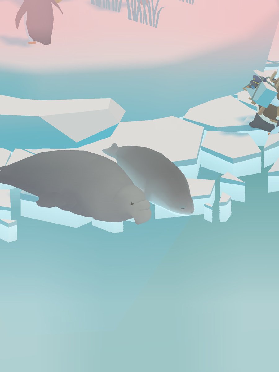 #ペンギンの島 
ゾウアザラシとアザラシ