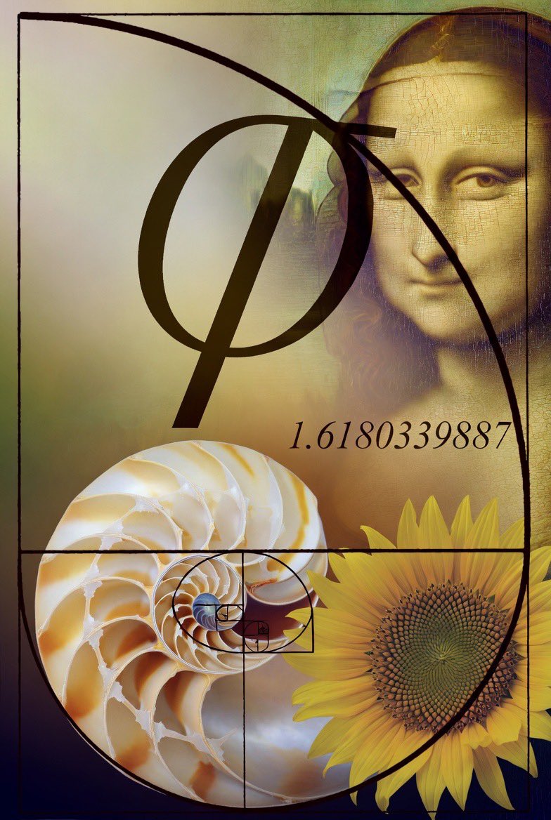 Michael Ambros tweet media