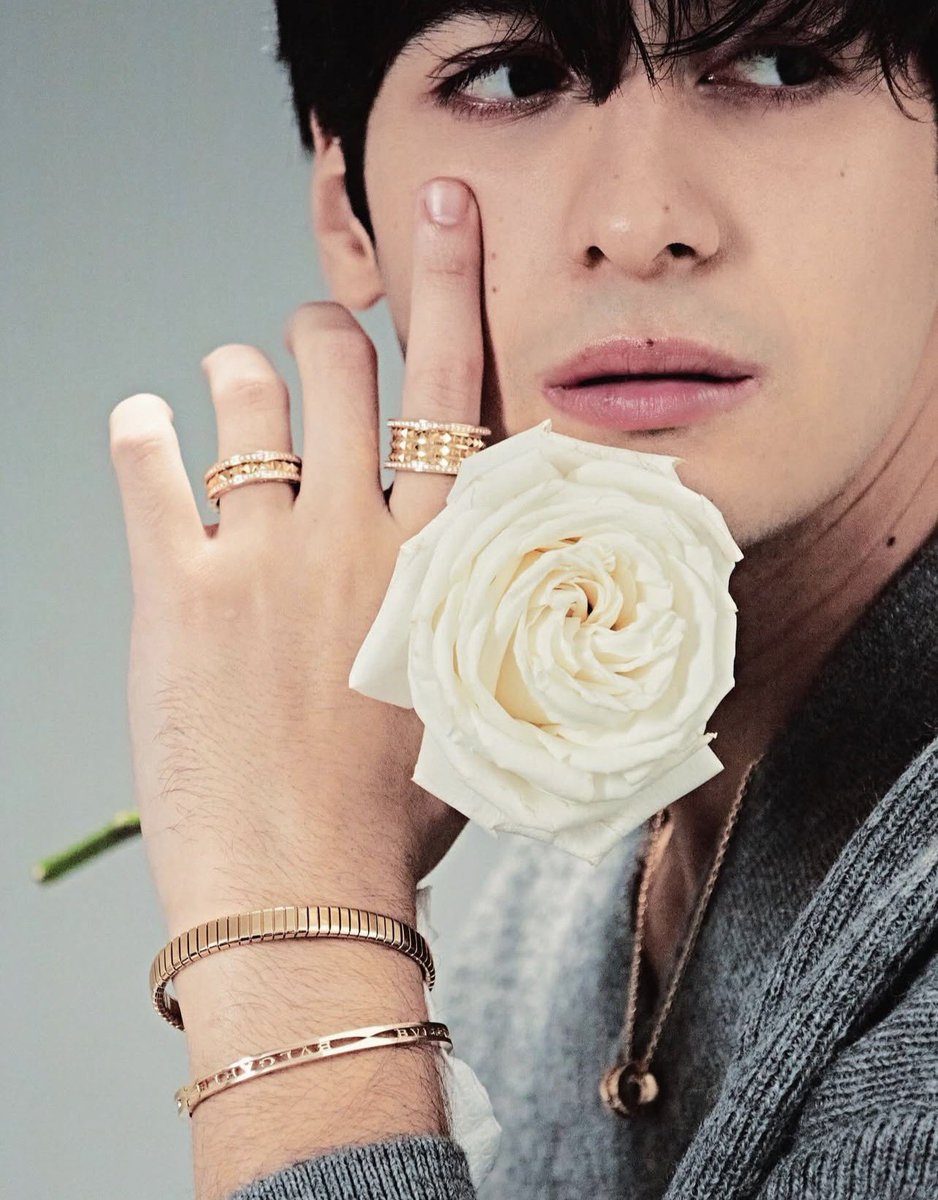 rowe ꨄ tweet media