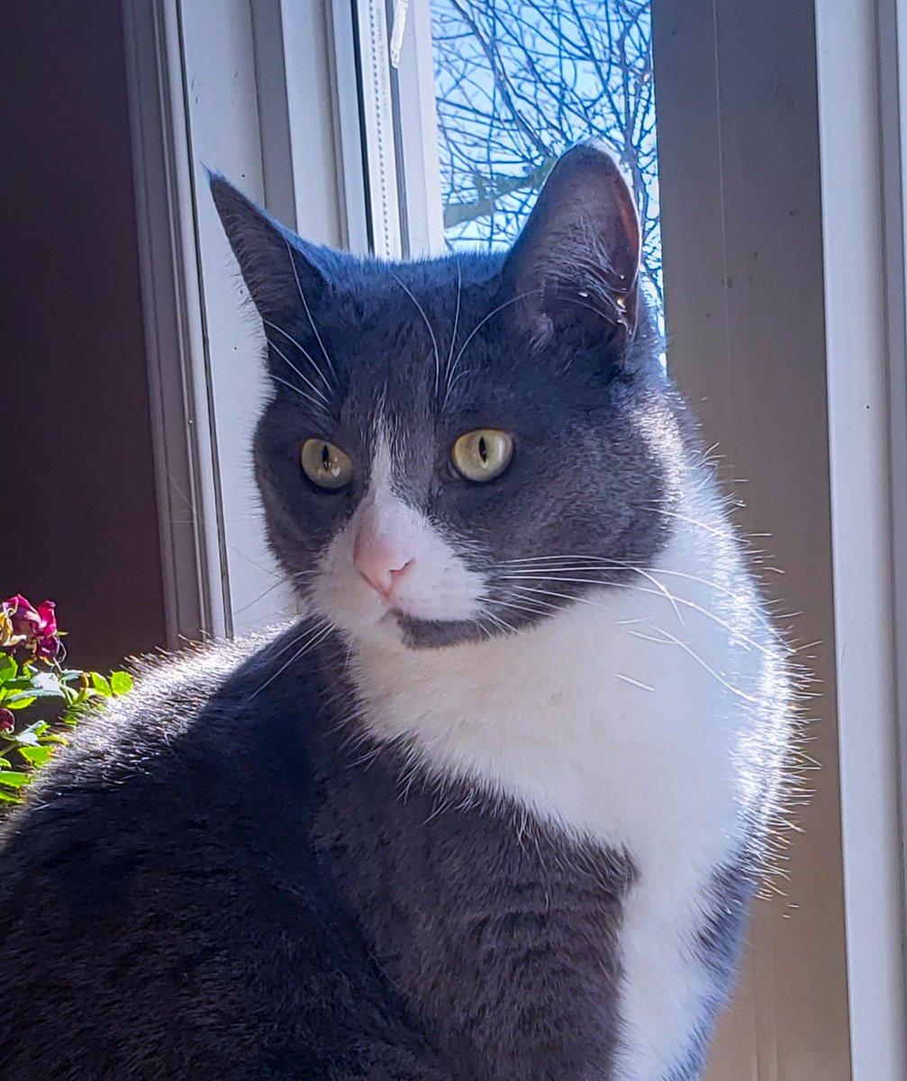 lisacandy84 🫐 tweet media