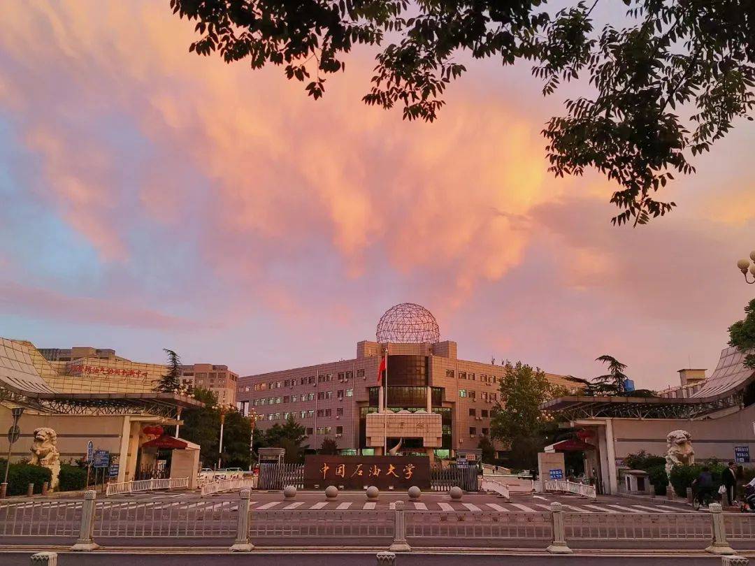 alice agnelli tweet media